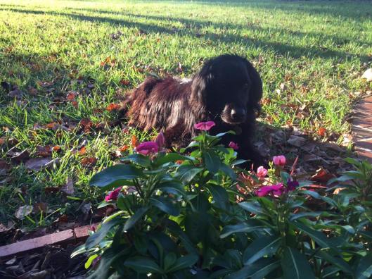 23032509_10156712080664409_140005658735562910_n