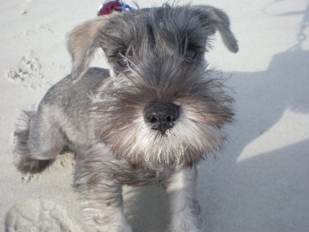 1934688_84685674408_341796_n