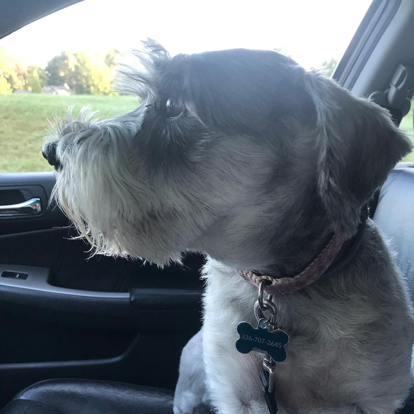 69383637_10158698661984409_2628511837599039488_o